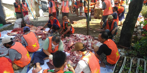 PEMOTONGAN QURBAN